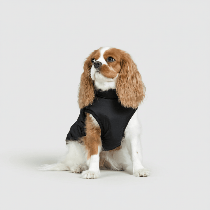 Dog Winter Jacket Waterproof Insulated Outdoor Dog Coat Warm Pet Coat