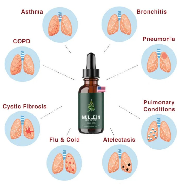 Mullein Extract Herbal Supplement Liquid for Lung Support and Detox