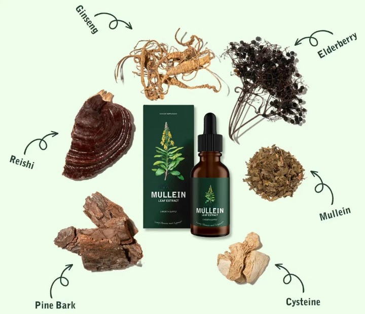 Mullein Extract Herbal Supplement Liquid for Lung Support and Detox