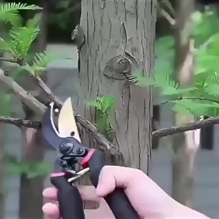 Pruning Shears 8.5 Inch Garden Hedge Clippers Hand Pruners