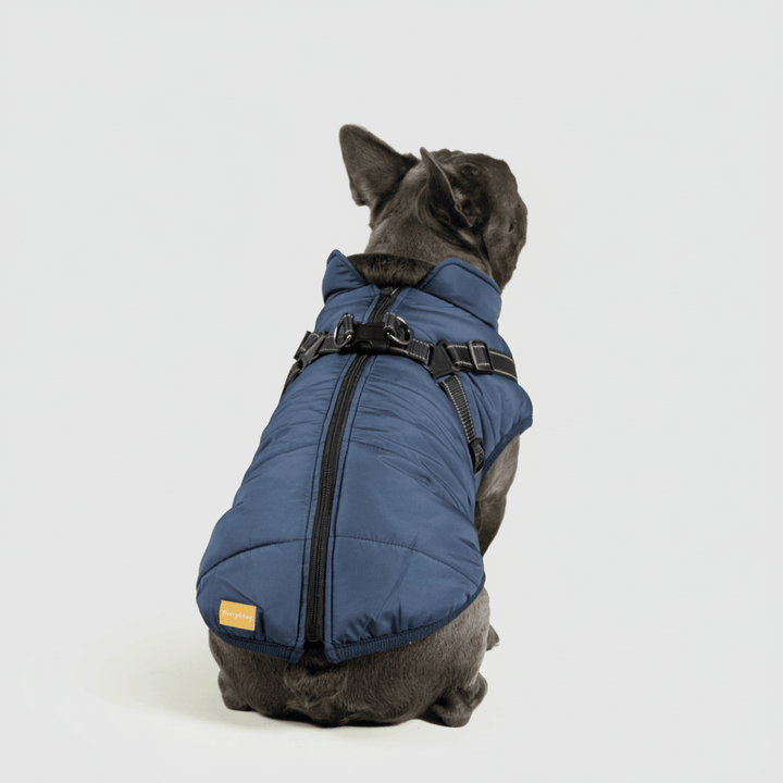 Dog Winter Jacket Waterproof Insulated Outdoor Dog Coat Warm Pet Coat