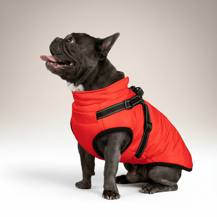 Dog Winter Jacket Waterproof Insulated Outdoor Dog Coat Warm Pet Coat