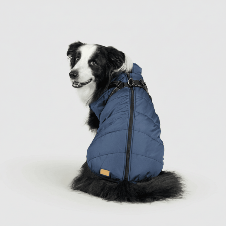 Dog Winter Jacket Waterproof Insulated Outdoor Dog Coat Warm Pet Coat