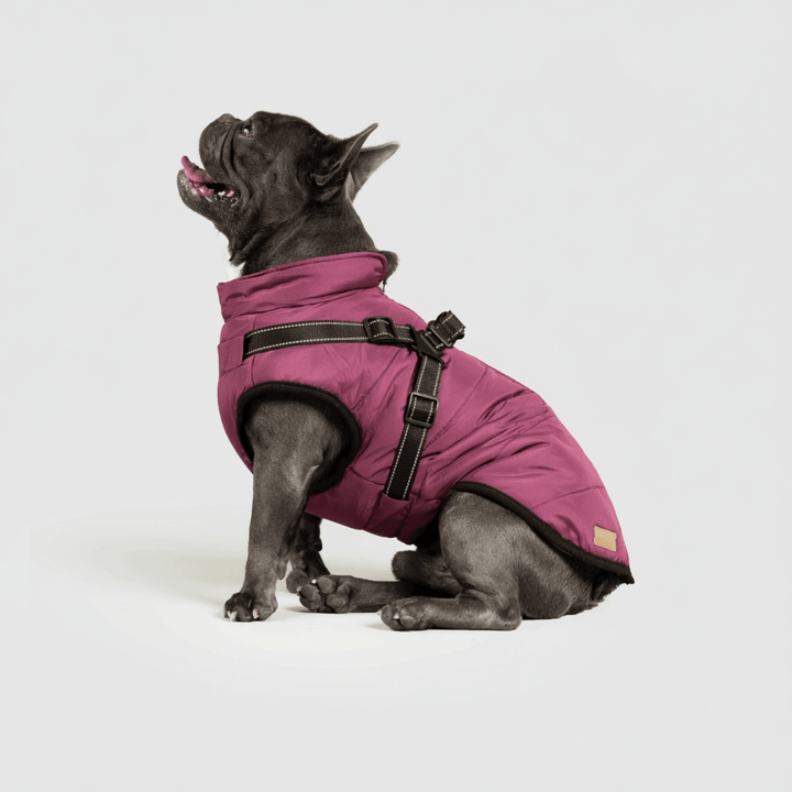 Dog Winter Jacket Waterproof Insulated Outdoor Dog Coat Warm Pet Coat