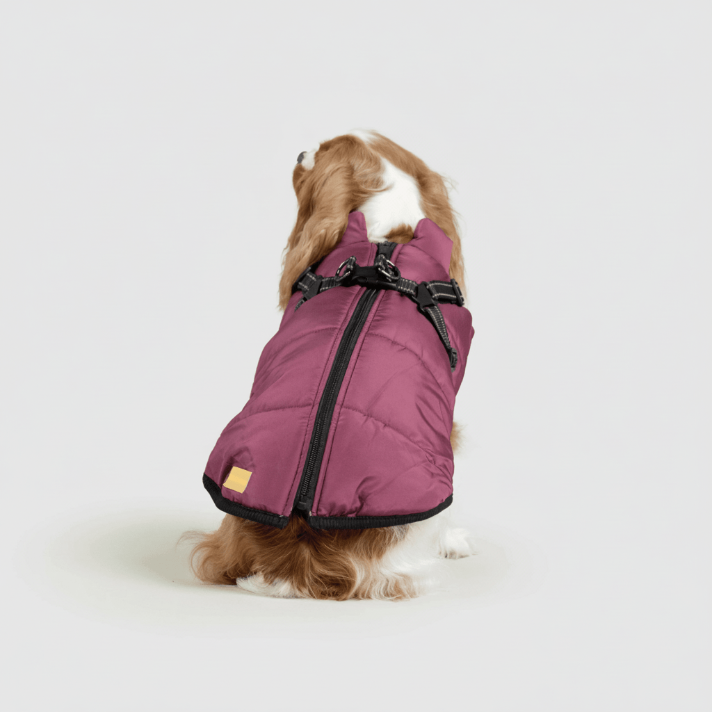 Dog Winter Jacket Waterproof Insulated Outdoor Dog Coat Warm Pet Coat