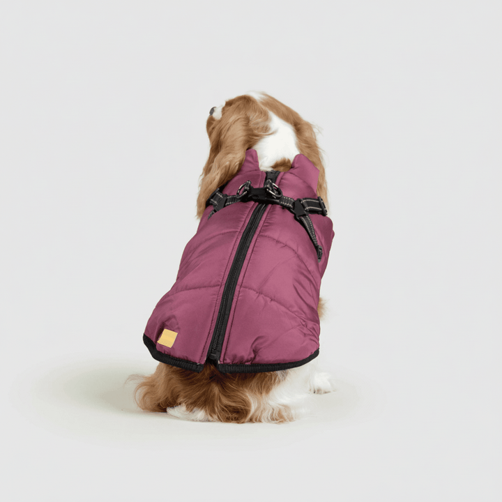 Dog Winter Jacket Waterproof Insulated Outdoor Dog Coat Warm Pet Coat