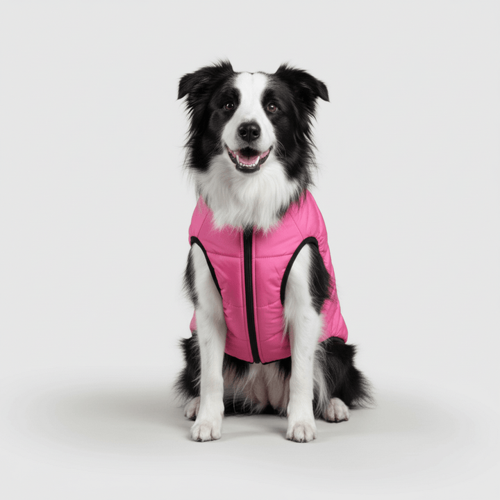 Dog Winter Jacket Waterproof Insulated Outdoor Dog Coat Warm Pet Coat