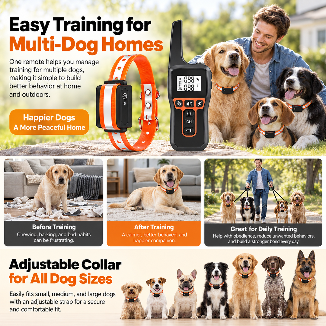 1000m Waterproof Dog Training Collar Rechargeable Remote