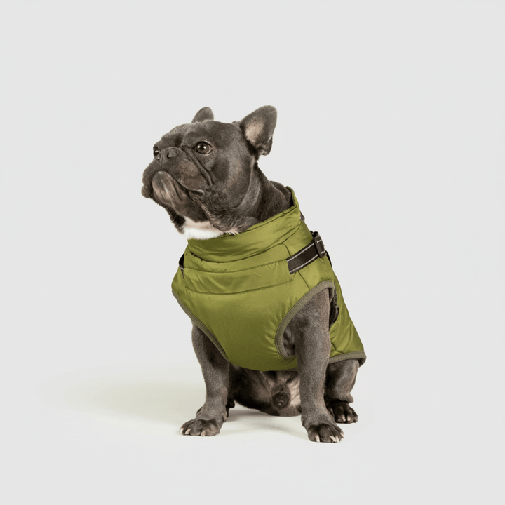 Dog Winter Jacket Waterproof Insulated Outdoor Dog Coat Warm Pet Coat