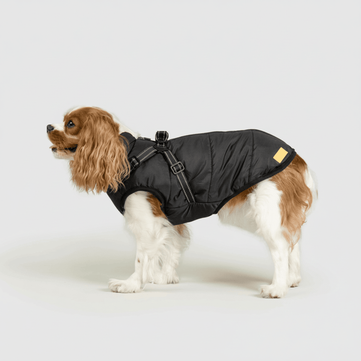 Dog Winter Jacket Waterproof Insulated Outdoor Dog Coat Warm Pet Coat