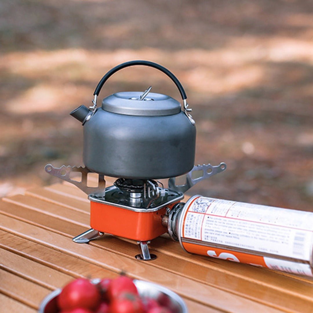 Foldable Portable Gas Stove Outdoor Cooking Camping Burner