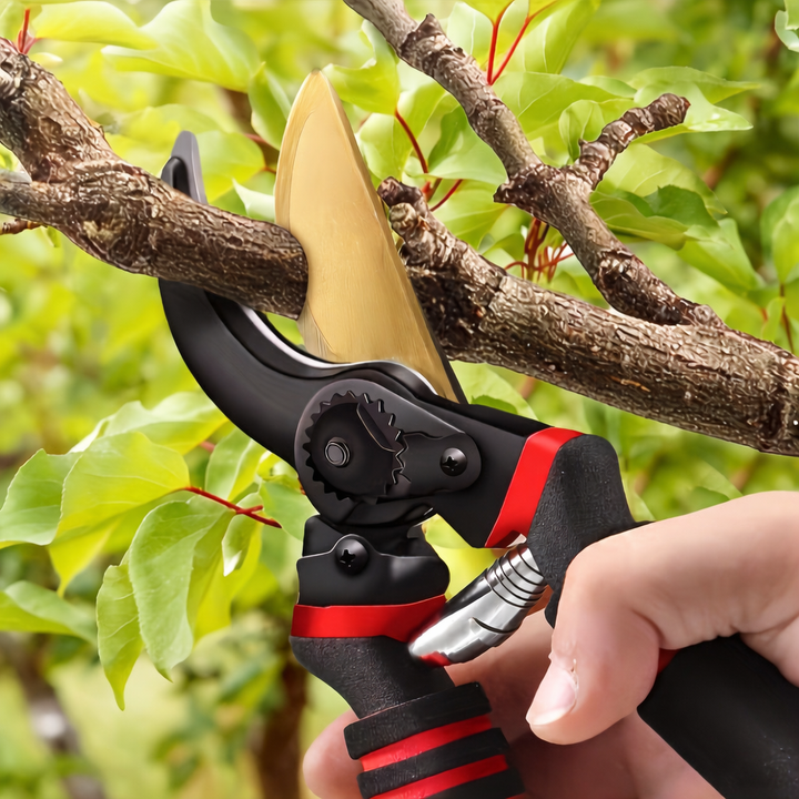 Pruning Shears 8.5 Inch Garden Hedge Clippers Hand Pruners