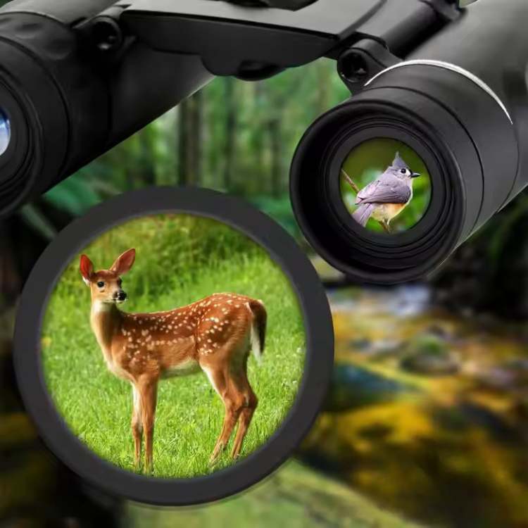 40x22 HD Long Range Porro Prism Binoculars for Bird Watching