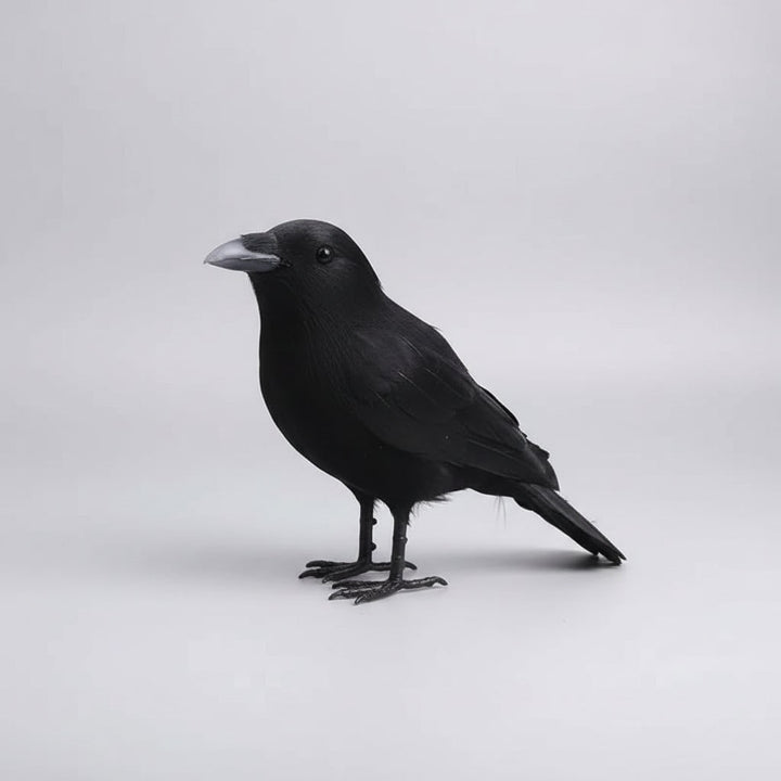 Halloween Crow Decoration Realistic Artificial Prop for Haunted House Party and Yard Display