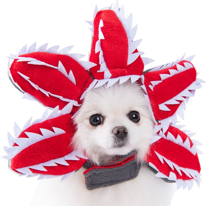 Halloween Dog Costume Funny Novelty with Hooded Design and Step-In Style for Small Human