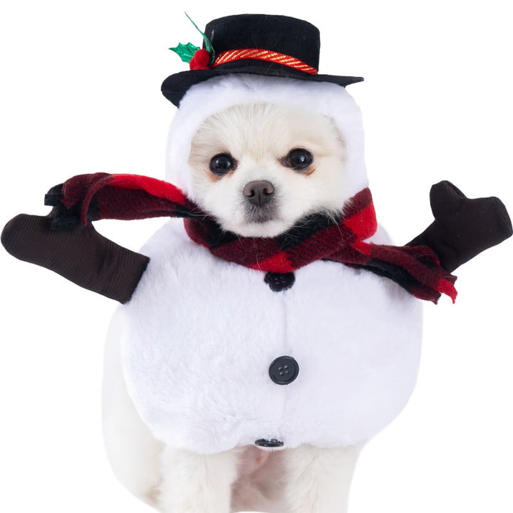 Halloween Dog Costume Funny Novelty with Hooded Design and Step-In Style for Small Human