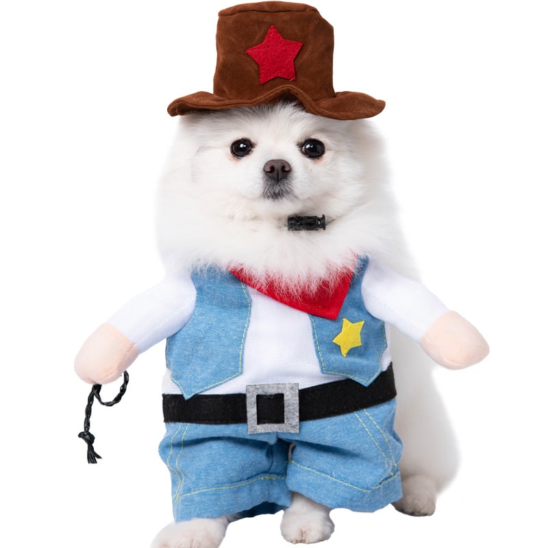 Halloween Dog Costume Funny Novelty with Hooded Design and Step-In Style for Small Human