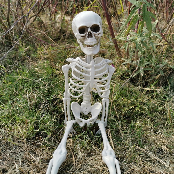 Halloween Skeleton Decoration with Posable Joints and Movable Jaw 12 Foot Tall