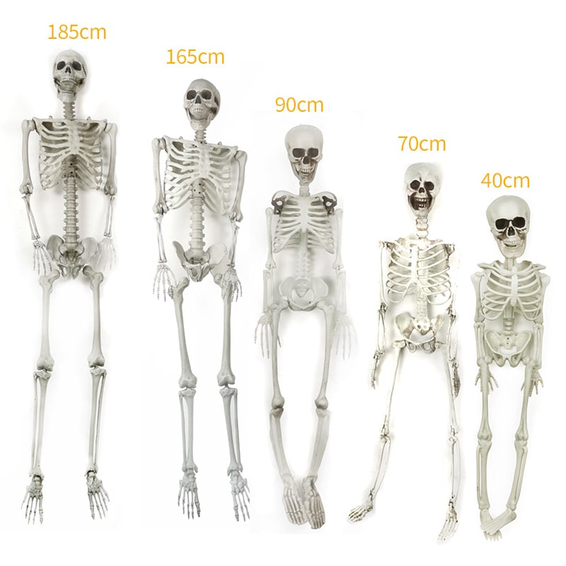 Halloween Skeleton Decoration with Posable Joints and Movable Jaw 12 Foot Tall