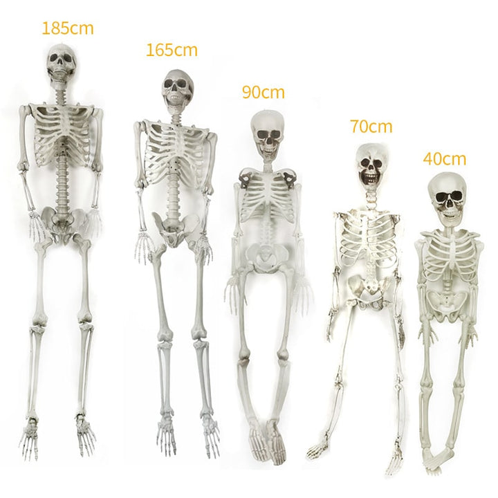 Halloween Skeleton Decoration with Posable Joints and Movable Jaw 12 Foot Tall