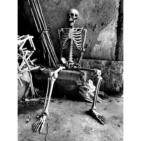 Halloween Skeleton Decoration with Posable Joints and Movable Jaw 12 Foot Tall