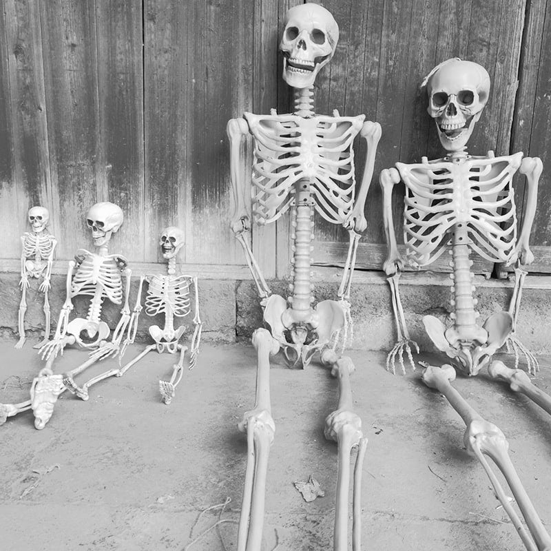 Halloween Skeleton Decoration with Posable Joints and Movable Jaw 12 Foot Tall