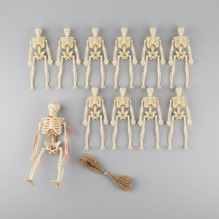 Halloween Skeletons Posable Mini Figurines Decoration Set with Hanging Twine Head