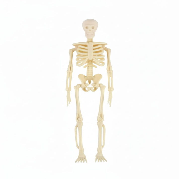 Halloween Skeletons Posable Mini Figurines Decoration Set with Hanging Twine Head