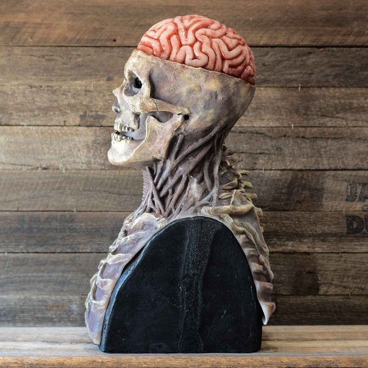 Halloween Skull Mask for Skeleton Full Head with Exposed Brain and Chest Plate Latex Half
