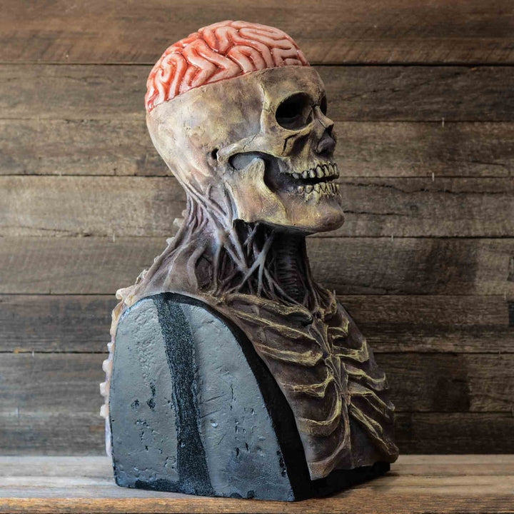 Halloween Skull Mask for Skeleton Full Head with Exposed Brain and Chest Plate Latex Half