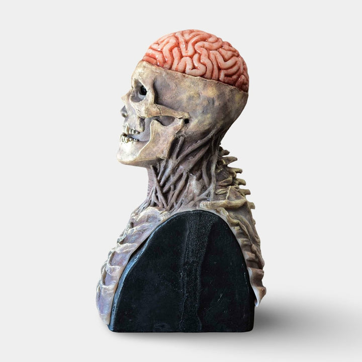 Halloween Skull Skeleton Mask with Exposed Brain and Chest Plate Creepy Latex Full Head Costume Prop