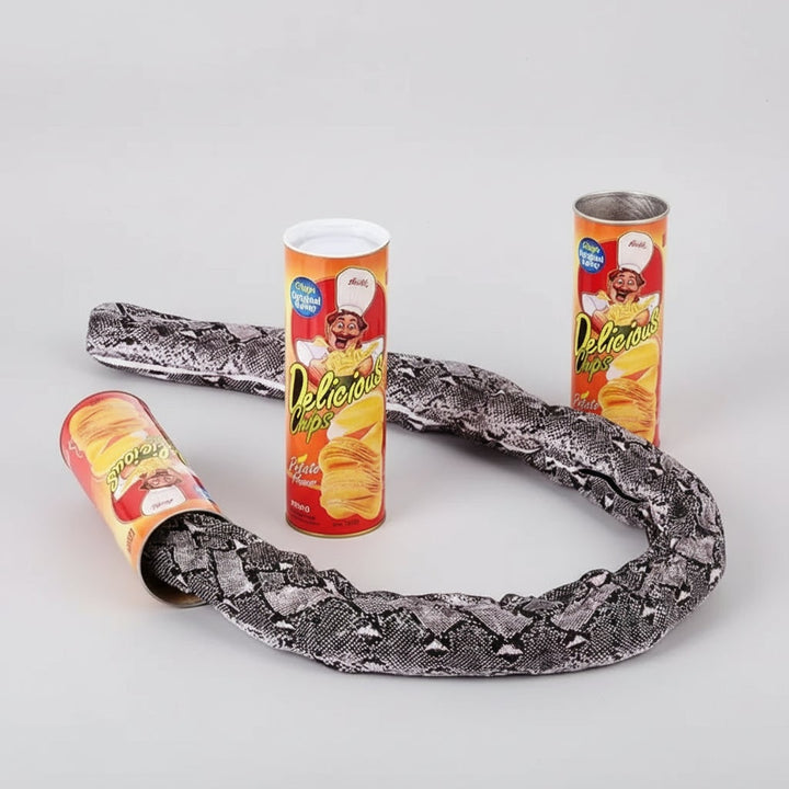 Halloween Snake in a Can Fake Prank Toy with Spring-Loaded Pop-Out Surprise for Party
