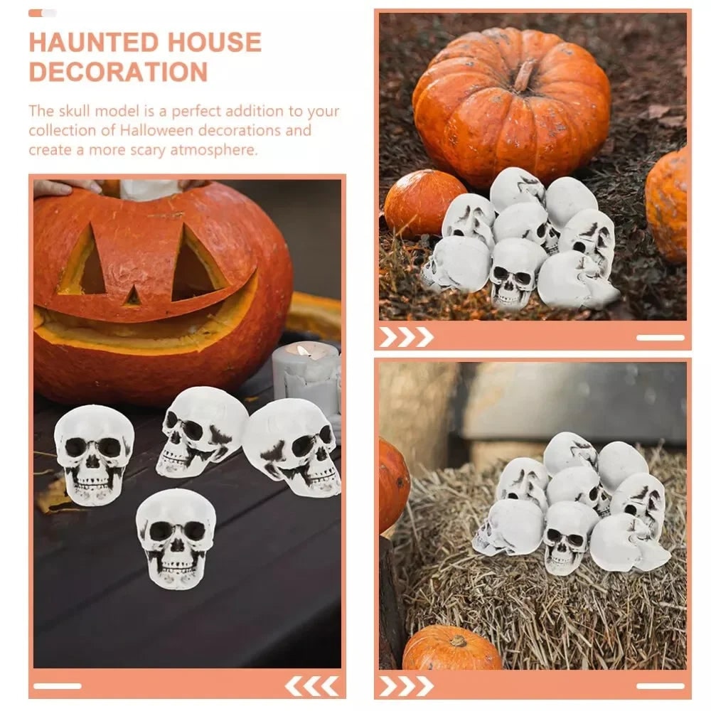 Halloween Sugar Skull Decorations and Mini Plastic with Realistic Details for Party