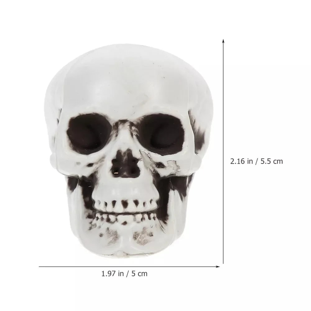 Halloween Sugar Skull Decorations and Mini Plastic with Realistic Details for Party
