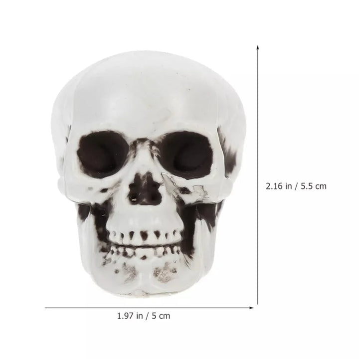 Halloween Sugar Skull Decorations and Mini Plastic with Realistic Details for Party