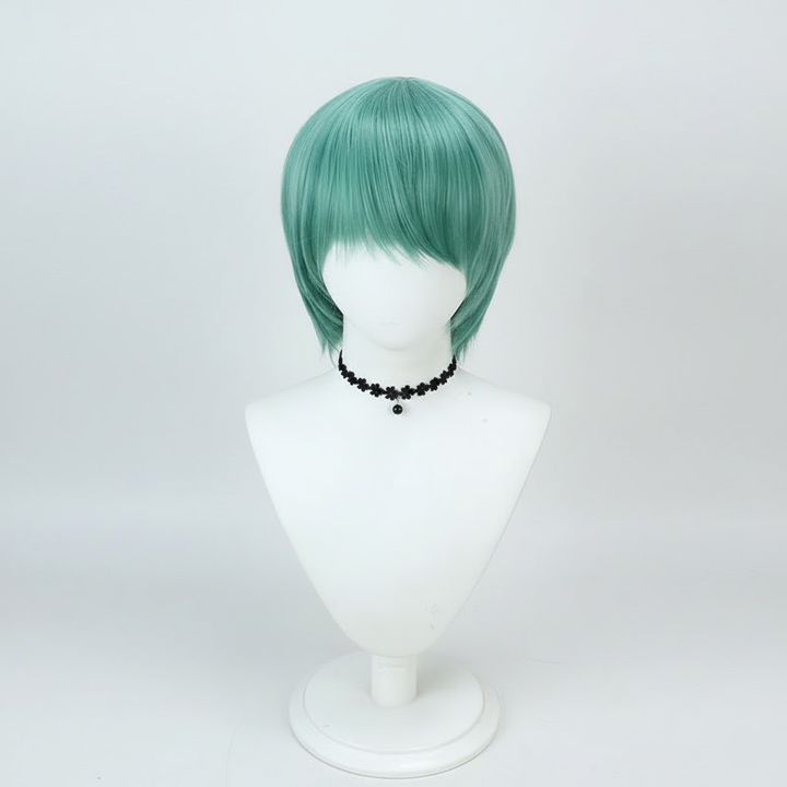 Halloween Synthetic Hair Wig Costume with Braided and Styles for Dress Up Party Short