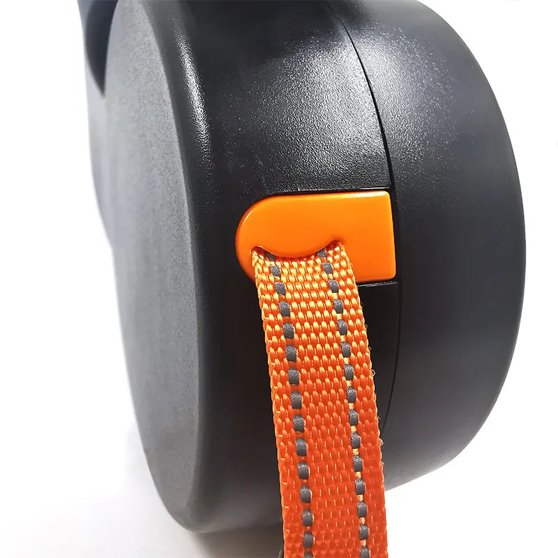 Double Dog Leash with LED Light Attachment