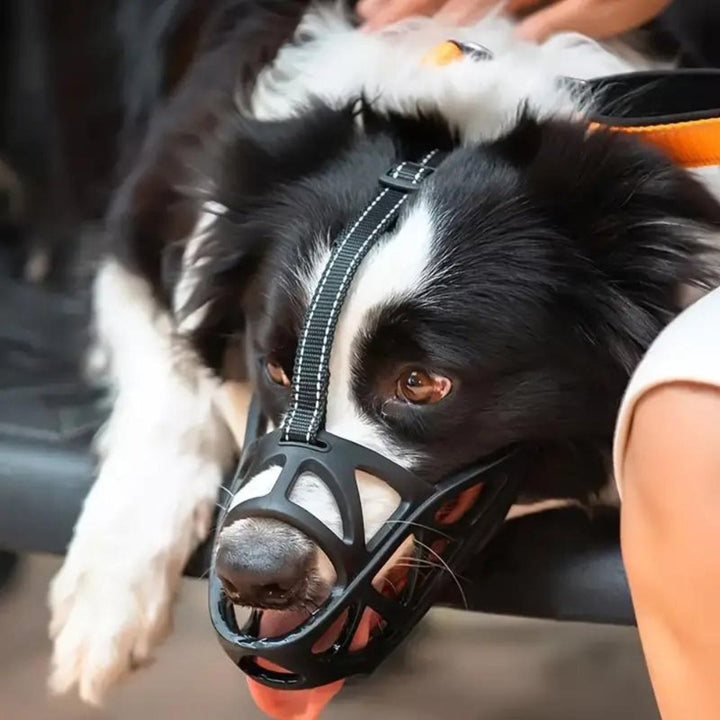 Adjustable Nylon Dog Muzzle Canine Safety Muzzle