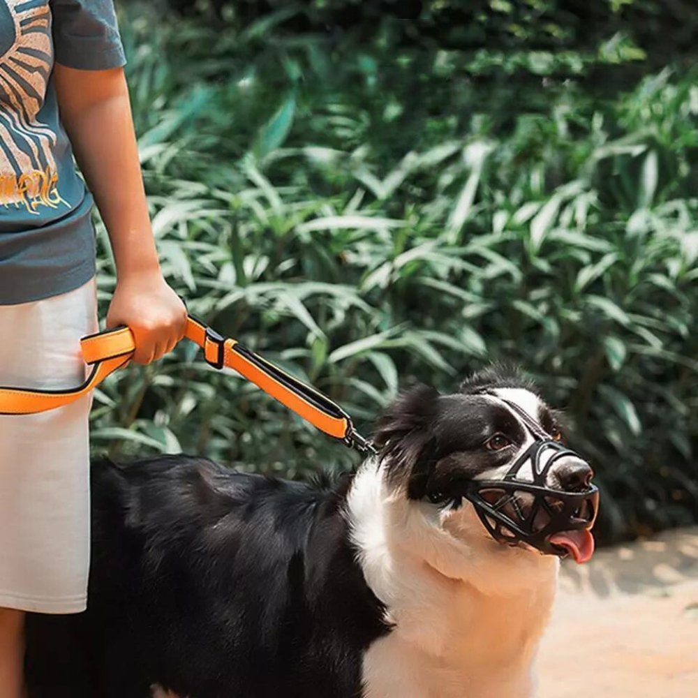 Adjustable Nylon Dog Muzzle Canine Safety Muzzle