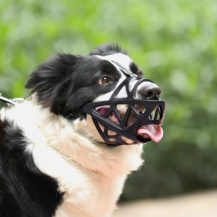 Adjustable Nylon Dog Muzzle Canine Safety Muzzle
